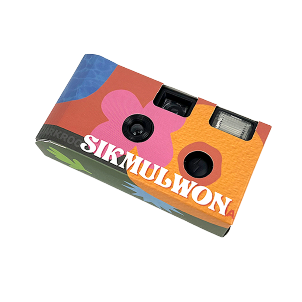 일회용 필름 카메라