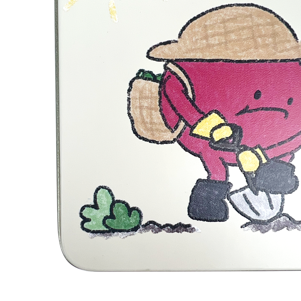 납작 틴케이스