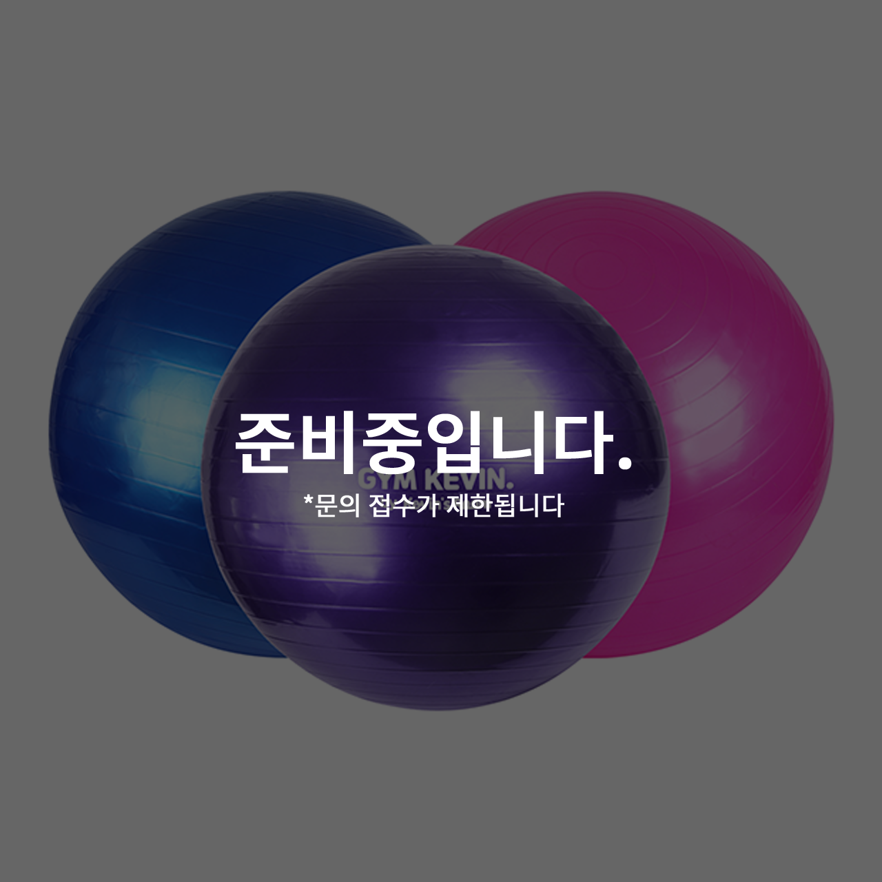 짐볼