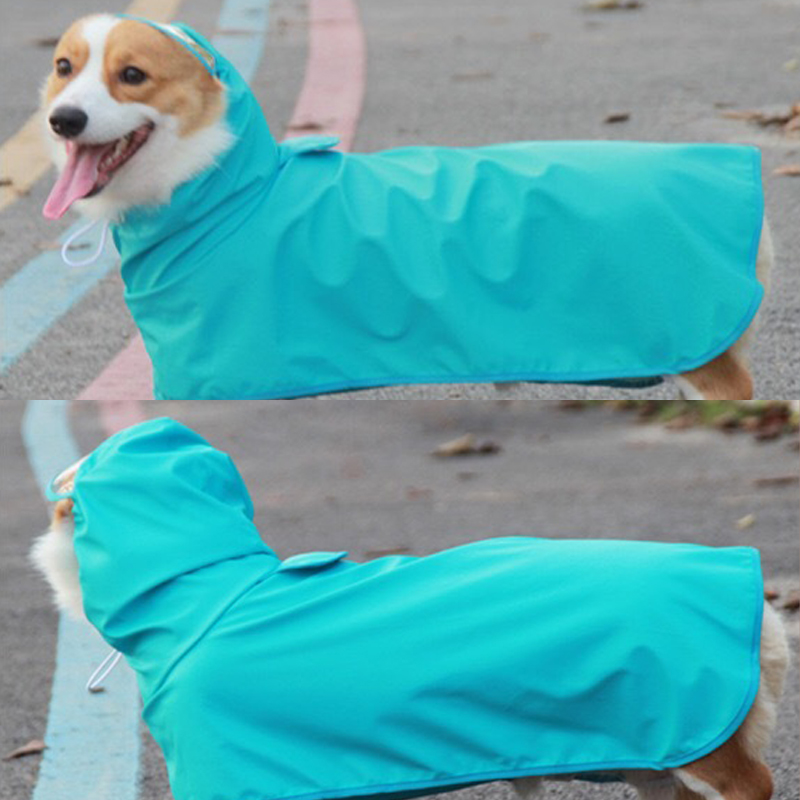 강아지 우비